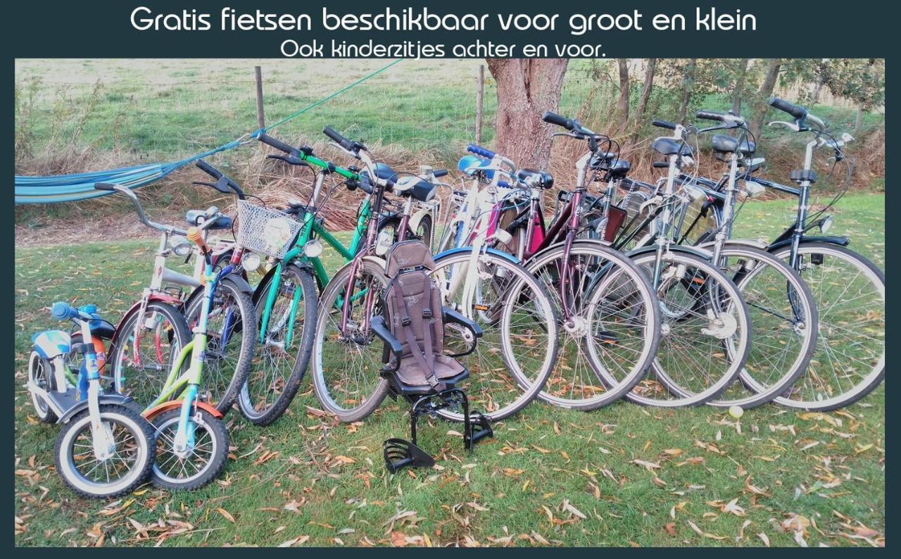 Vakantiewoning Deltahof Ferienhaus Ellewoutsdijk