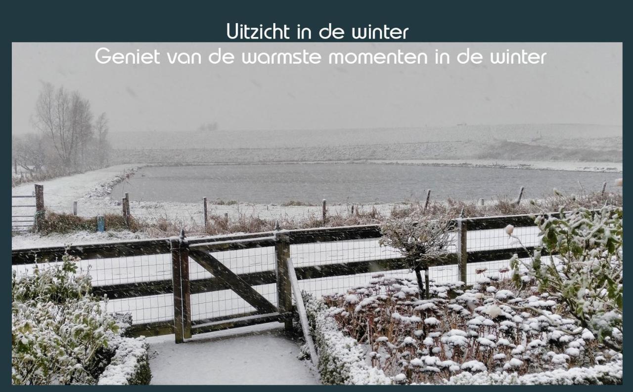 Vakantiewoning Deltahof Ferienhaus